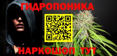 винт Партизанск